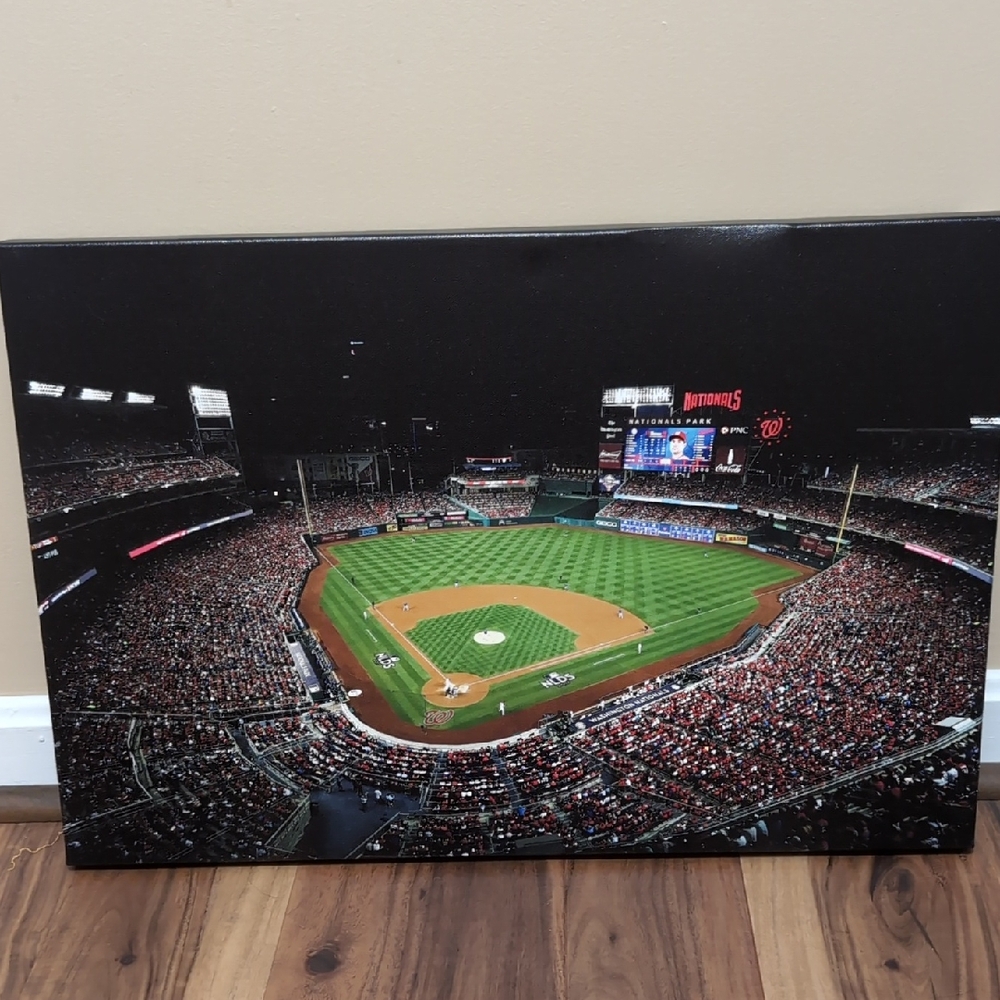 Nats Park Canvas